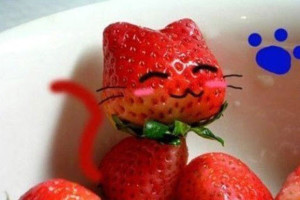 fruit_animal_12_cat_strawberry