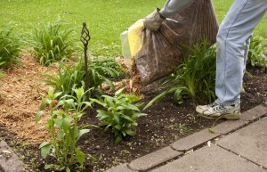 man spreading cypress mulch in a flower garden to conserve moisture
