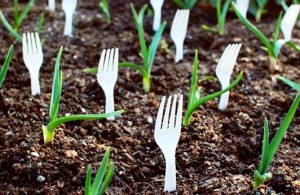 20-Insanely-Clever-Gardening-Tips-And-Ideas4