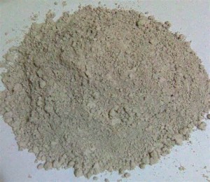 what-is-diatomaceous-earth_3