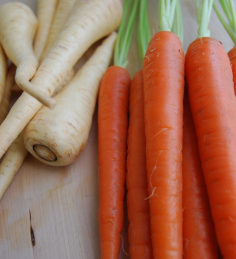 carrots-and-parsnips