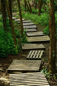trail-through-the-wood-made-from-used-pallets