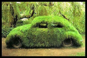 moss-covered-car