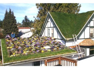 green-roof-10.php_1
