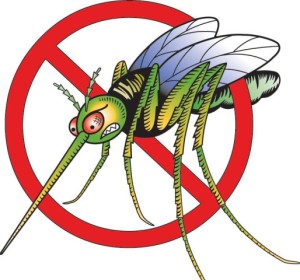 kak-vybrat-ehffektivnoe-i-bezopasnoe-sredstvo-ot-komarov-2