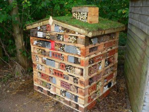 insect-hotel-3